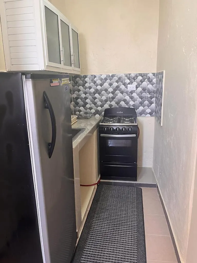 Апартаменты Apartamento Zona Colonial R Санто-Доминго